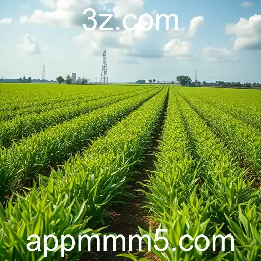 O Impacto de Mmm5 no Mercado de Jogos Online